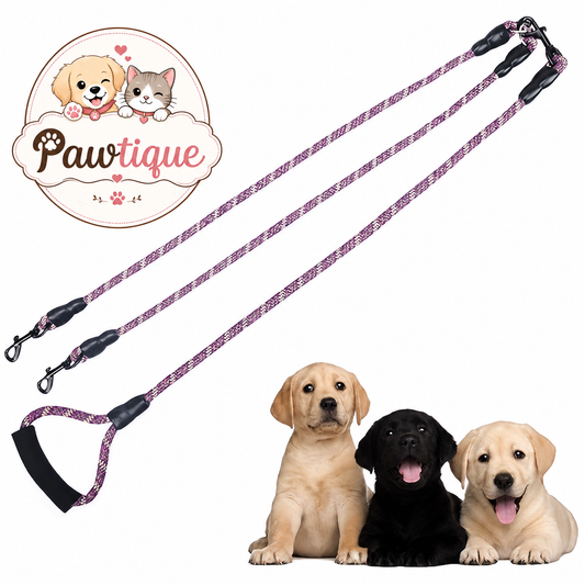 The Pawtique Two-Way Leash